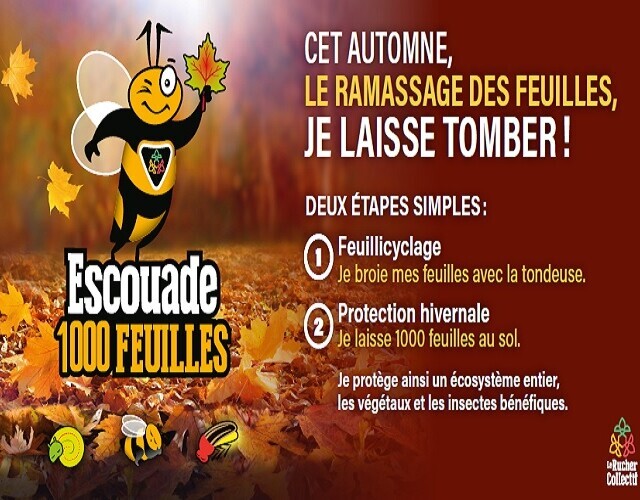 Cet automne, le ramassage des feuilles, je laisse tomber !