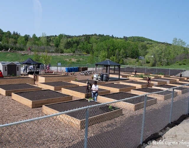 Jardin communautaire