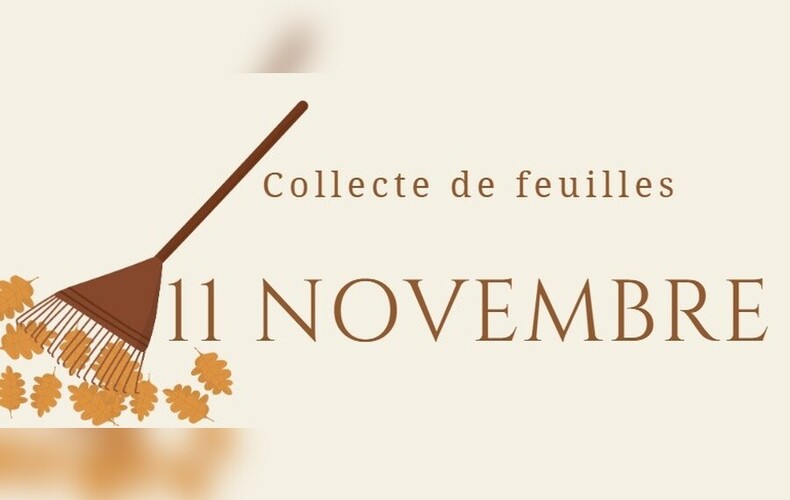 Collecte de feuilles