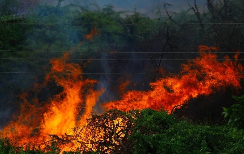 Interdiction - feux à ciel ouvert