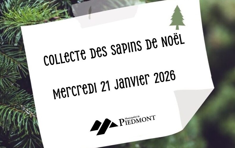 COLLECTE DES SAPINS DE NOËL 🎄
