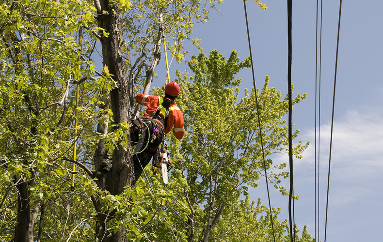 Travaux de maîtrise de la végétation par Hydro-Québec