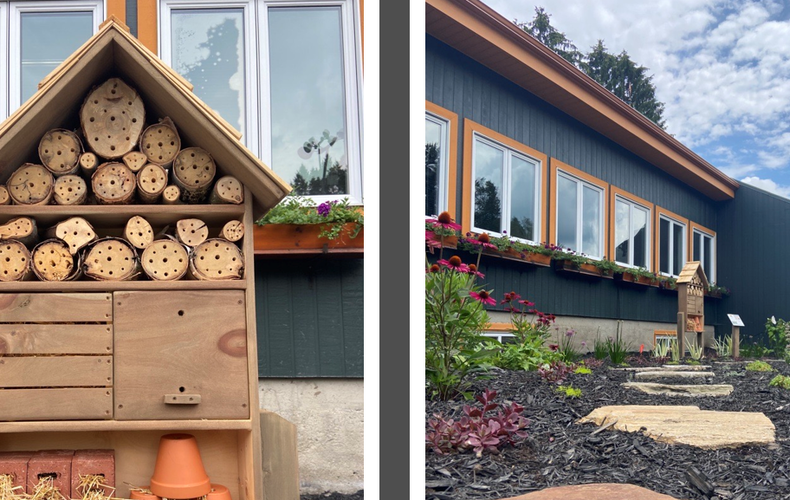 Un hôtel à insectes à la Municipalité