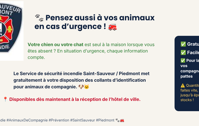 Pensez aussi à vos animaux en cas d'urgence !