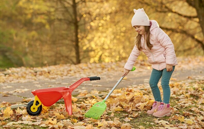 Collecte de feuilles et branches